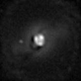 Messier 95 [NGC 3351]