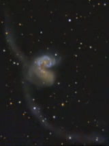 NGC4038 mit SN 2007sr