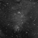 HII-Region um NGC 2264