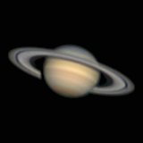 Saturn mit sehr gutem Seeing