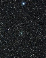 Sirius und Messier 41
