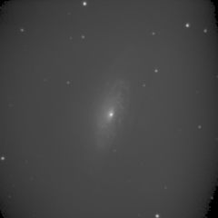 NGC 3521 Rohbild